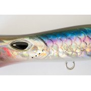 Cinnetic Mini Tornado 70F - 02 - Anchovy