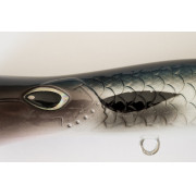 Cinnetic Mini Tornado 70F - 05 - Natural Mullet