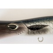 Cinnetic Mini Tornado 70F - 05 - Natural Mullet