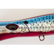 Cinnetic Mini Tornado 70F - 06 - Bloody Minnow