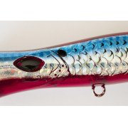 Cinnetic Mini Tornado 70F - 06 - Bloody Minnow