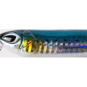 Cinnetic Zig Walker 105F - 01 - Natural Sardine