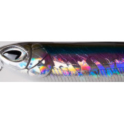 Cinnetic Zig Walker 105F - 02 - Anchovy