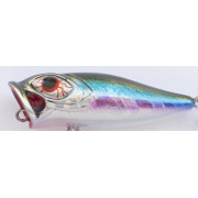 Cinnetic Puppy 45F - 02 - Anchovy