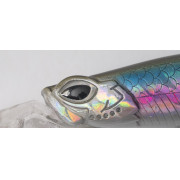 Cinnetic Deep Tracker 105F - 02 - Anchovy