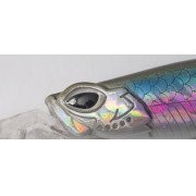 Cinnetic Deep Tracker 105F - 02 - Anchovy