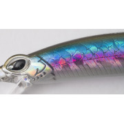 Cinnetic Kraken 110F - 02 - Anchovy