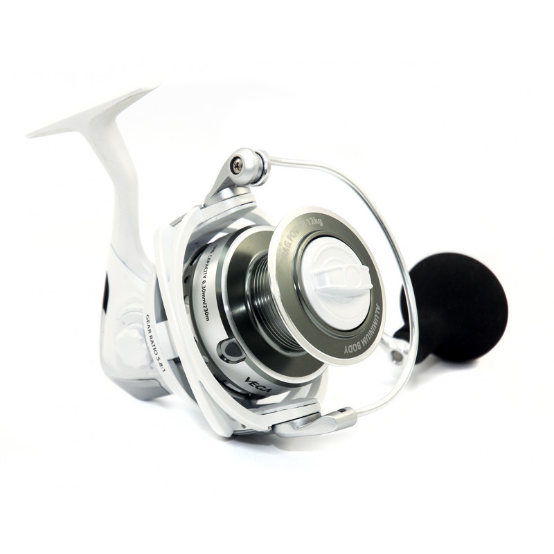 POTENZA RX 450 (2).jpg