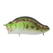 ZACRAWL HEART BLASTER - Color 026 - Darumagaeru