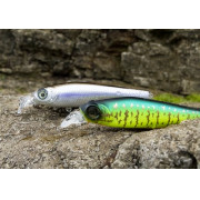 Pareja de Twitchs.jpg