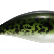 Baitsfishing - Square Crank R-150 - Baby Bass